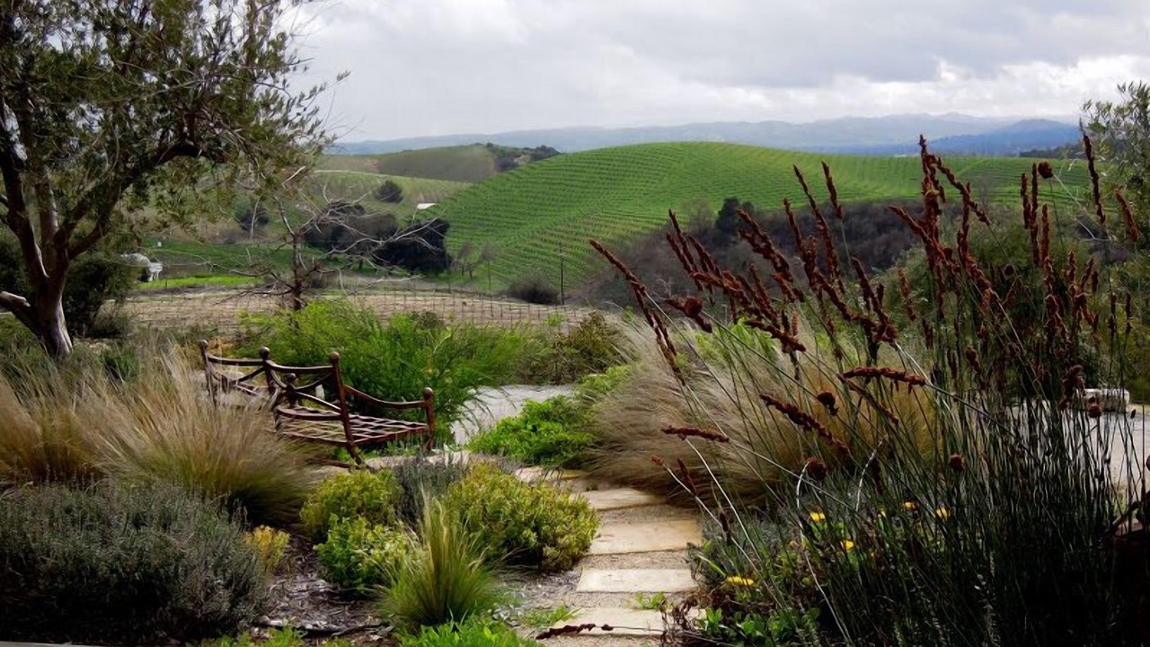 Photo of Outdoor in Paso Robles