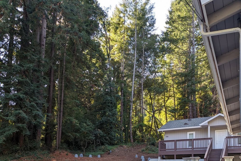 Photo of Outdoor in Boulder Creek