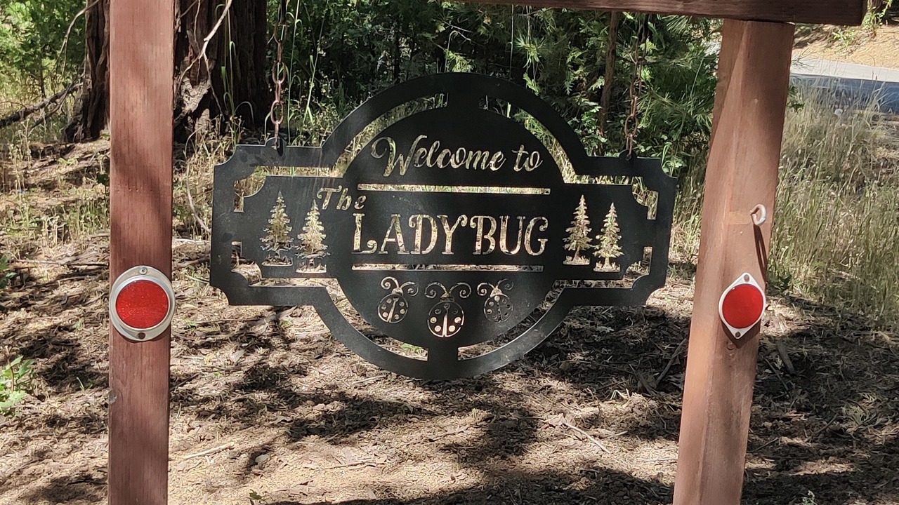 Photo of Outdoor in Mariposa