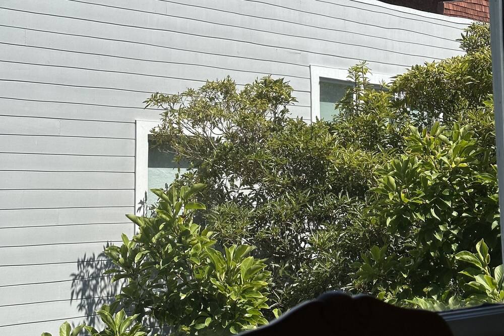 Photo of Outdoor in North Beach