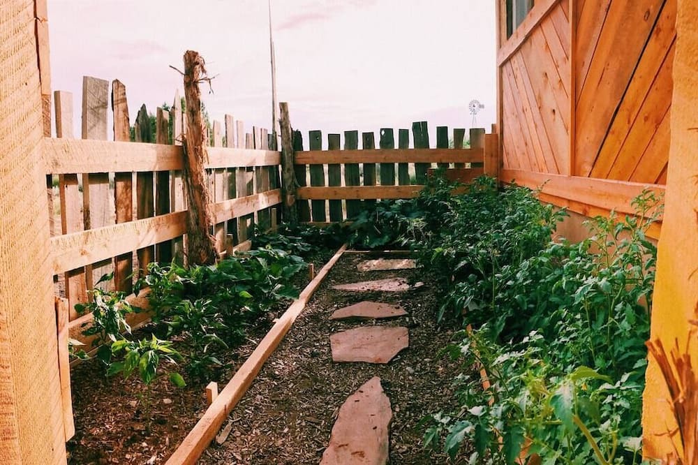Photo of Others in Cane Beds
