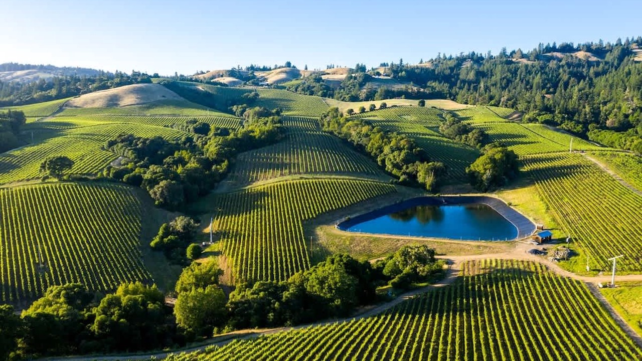 Photo of Others in Napa