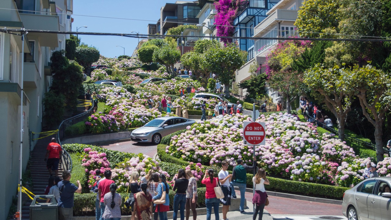 Photo of Others in Nob Hill