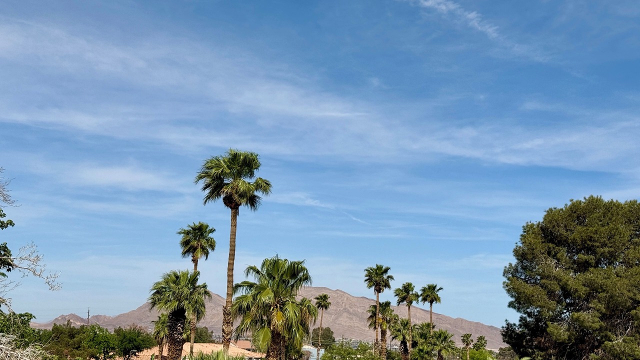 Photo of Outdoor in Sunrise Manor