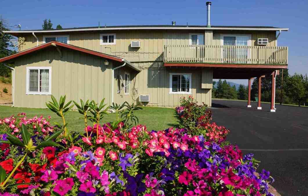 Photo of Outdoor in Mount Shasta