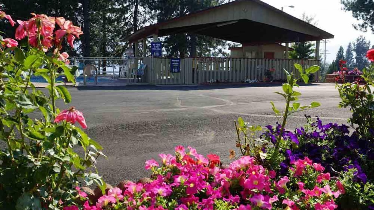 Photo of Outdoor in Mount Shasta
