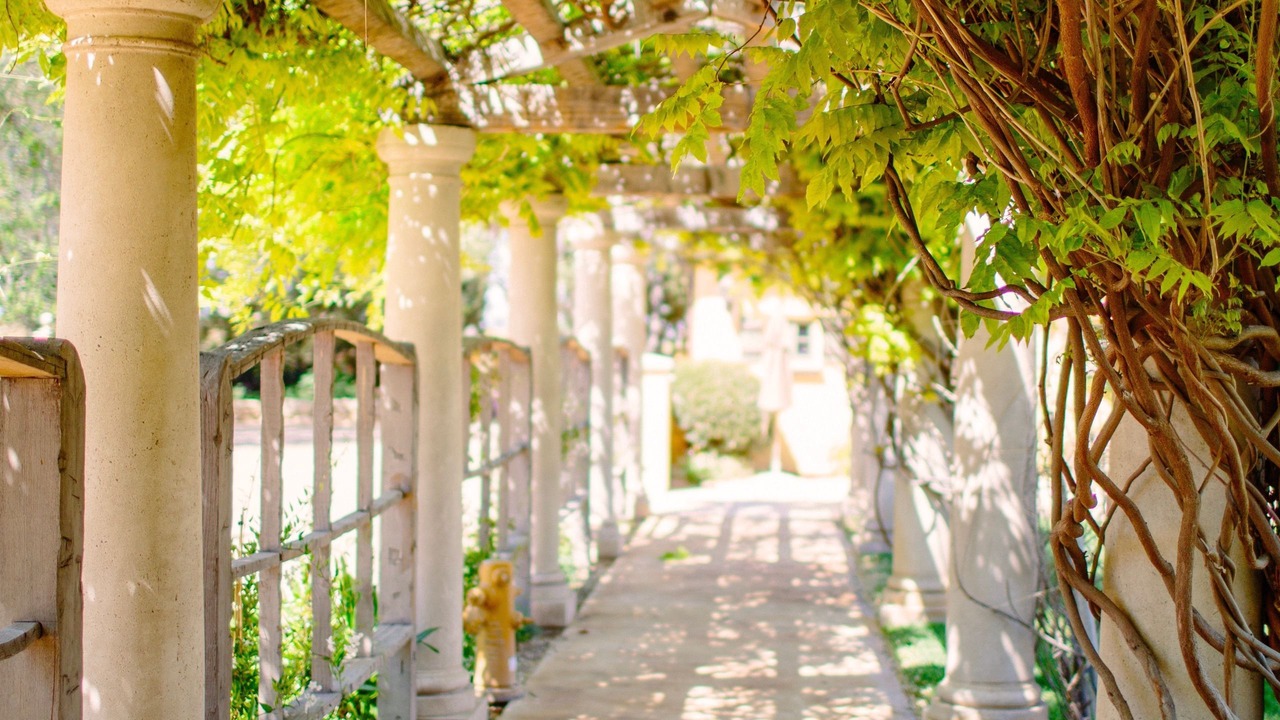 Photo of Outdoor in Paso Robles