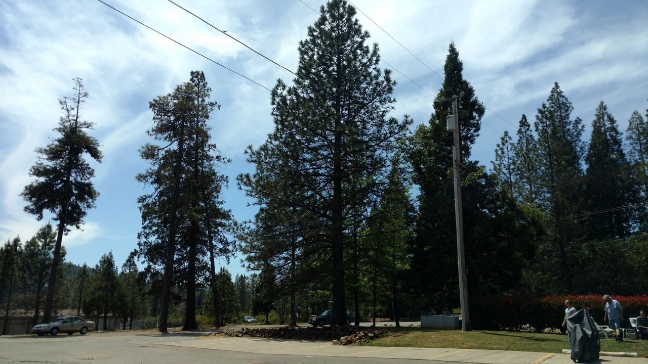 Photo of Outdoor in Brownsville