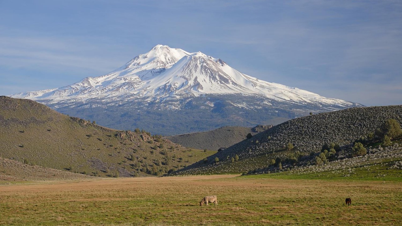 Photo of Outdoor in Mount Shasta