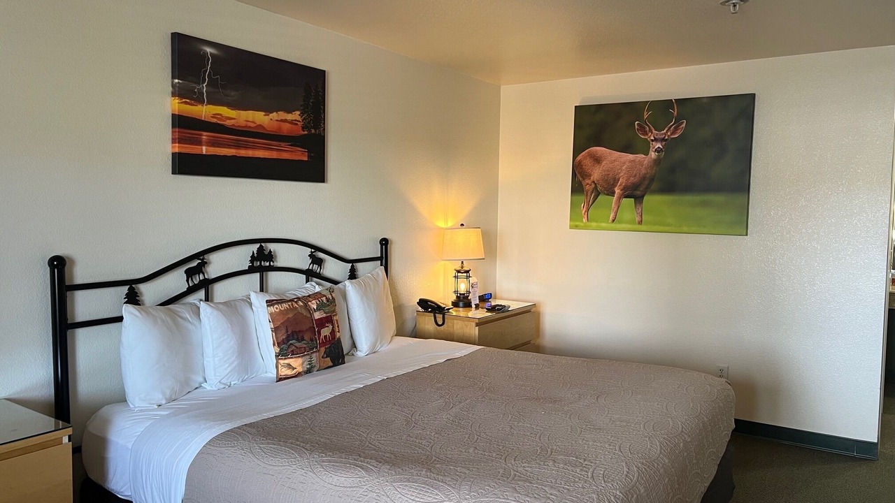 Photo of Bedroom in Chester