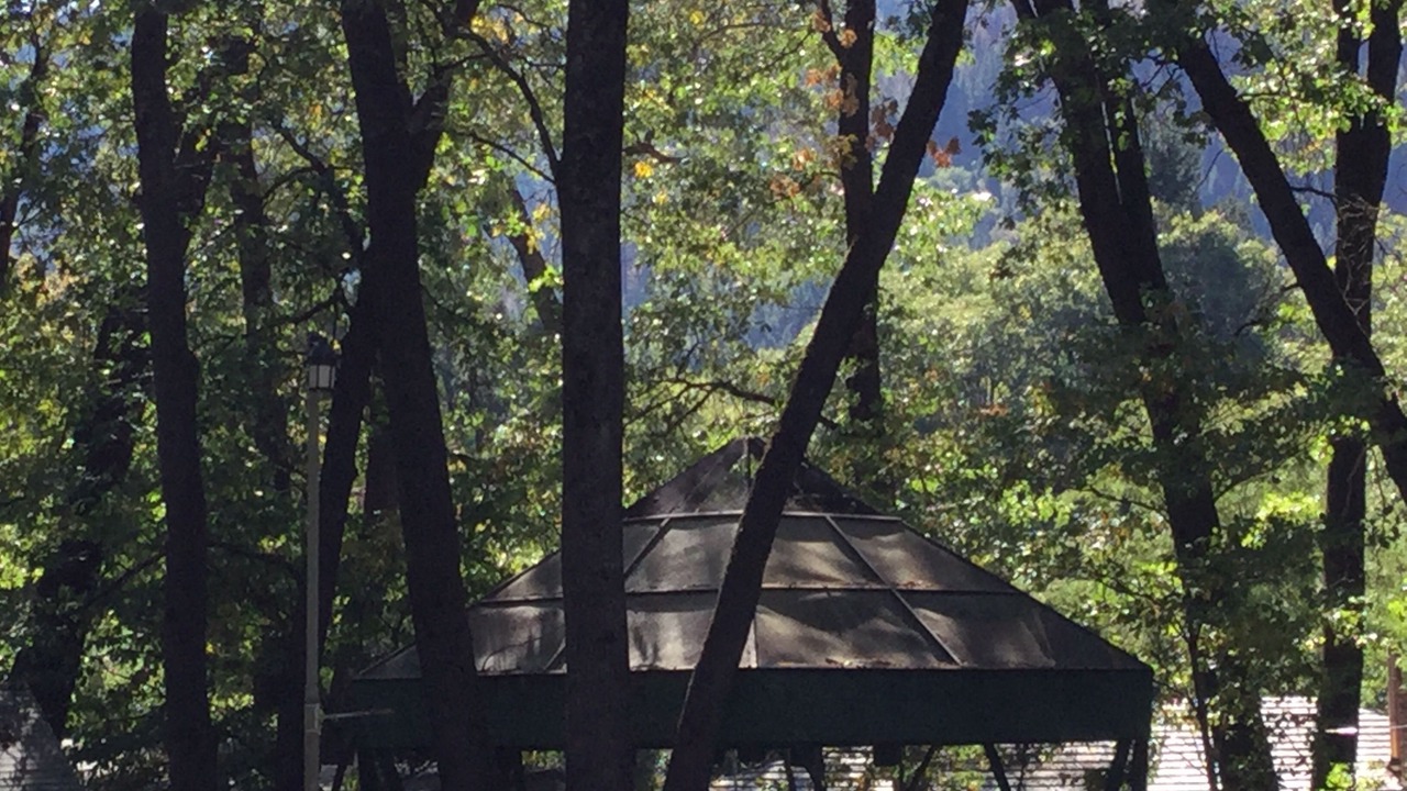 Photo of Others in Dunsmuir
