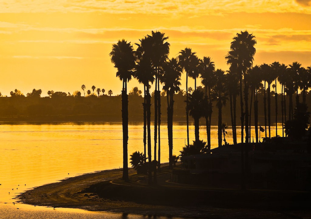 Photo of Others in Kensington