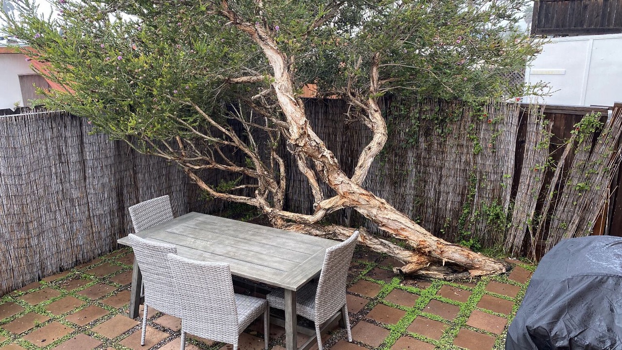 Photo of Outdoor in Cayucos