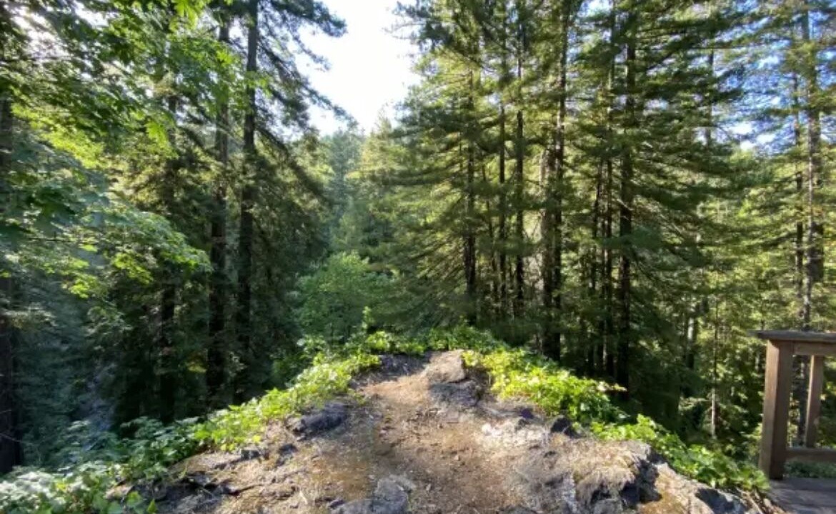Photo of Outdoor in Cazadero
