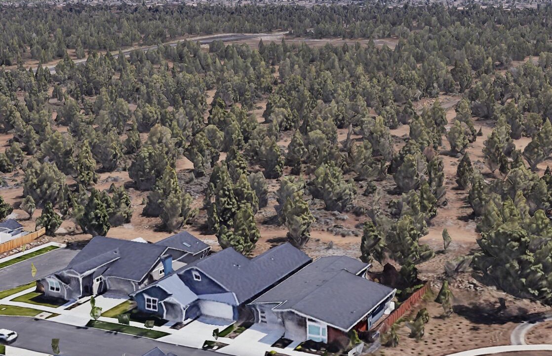 Photo of Outdoor in Boyd Acres