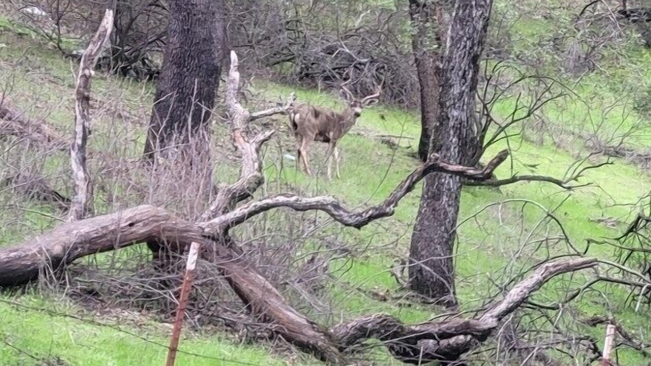 Photo of Others in Atascadero