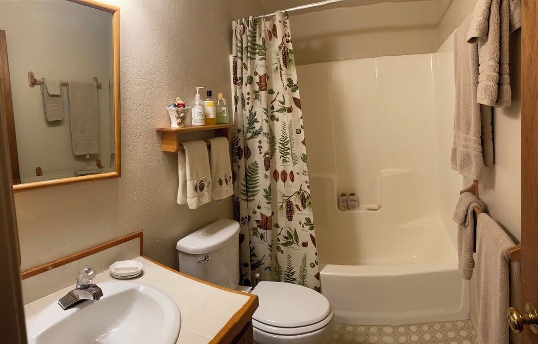Photo of Bathroom in Alpine Meadows