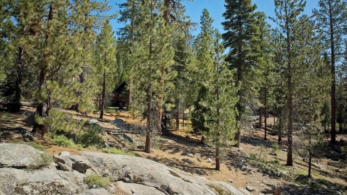 Photo of Others in Ponderosa
