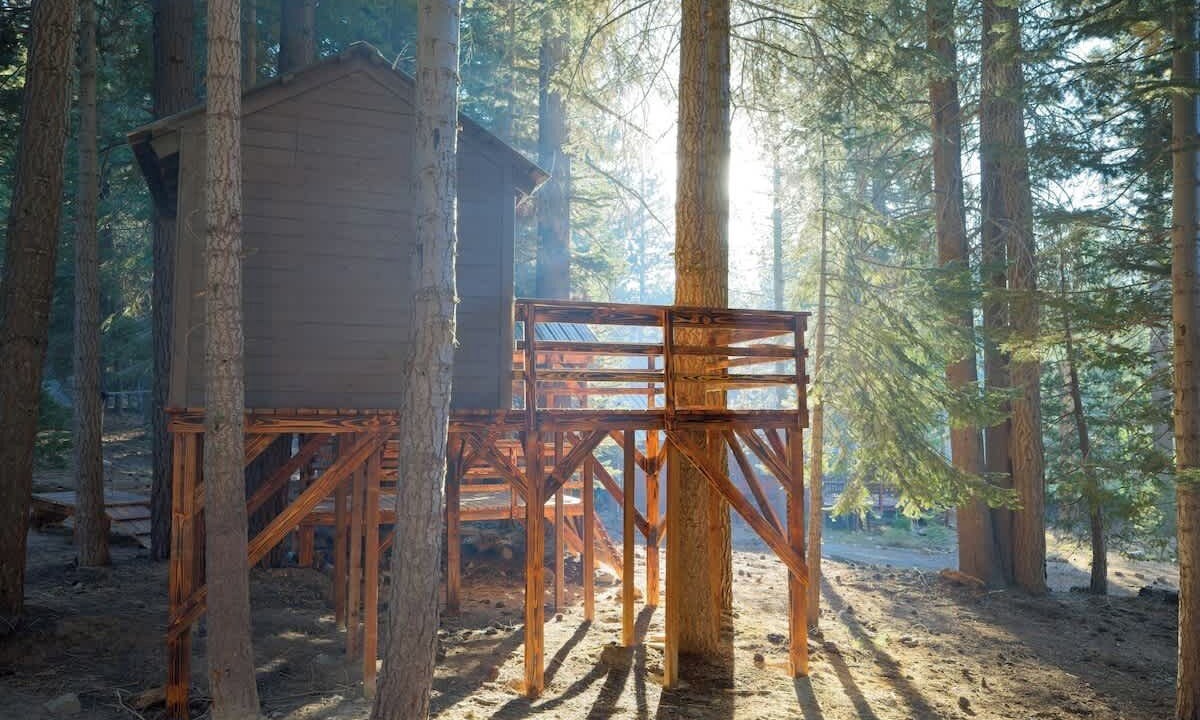 Photo of Others in Ponderosa