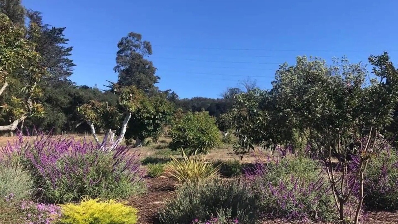 Photo of Outdoor in Arroyo Grande
