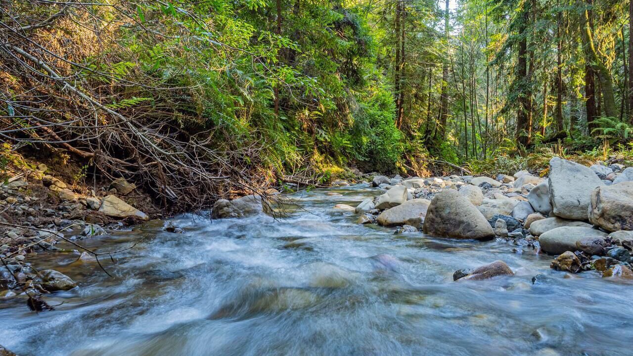 Photo of Others in Cazadero