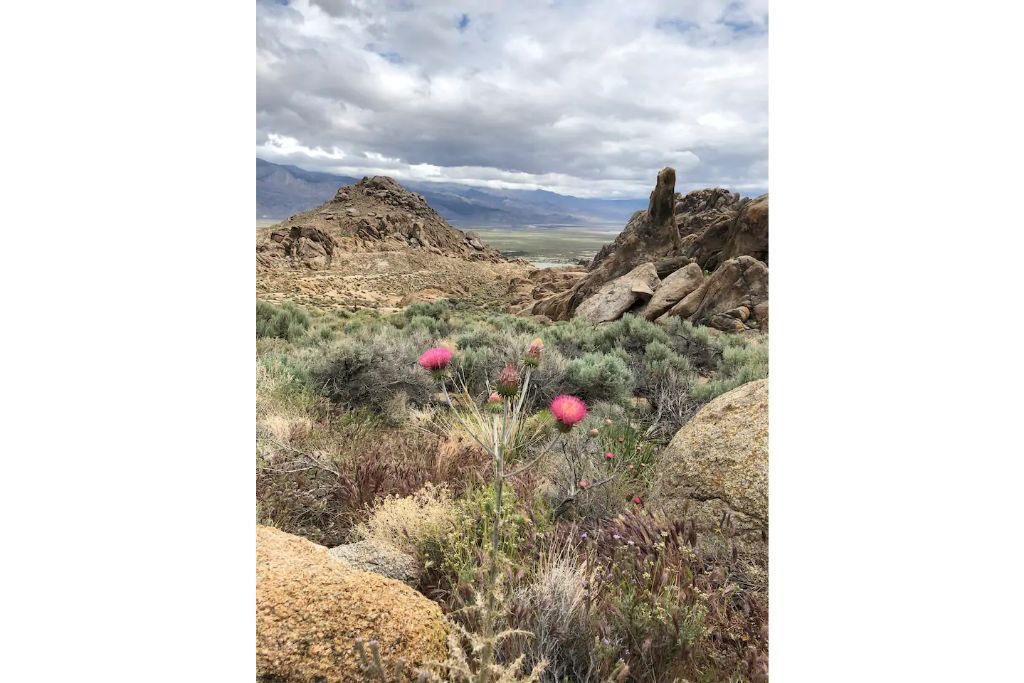Photo of Outdoor in Lone Pine