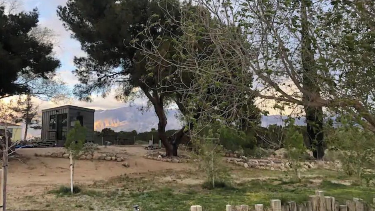 Photo of Others in Lone Pine