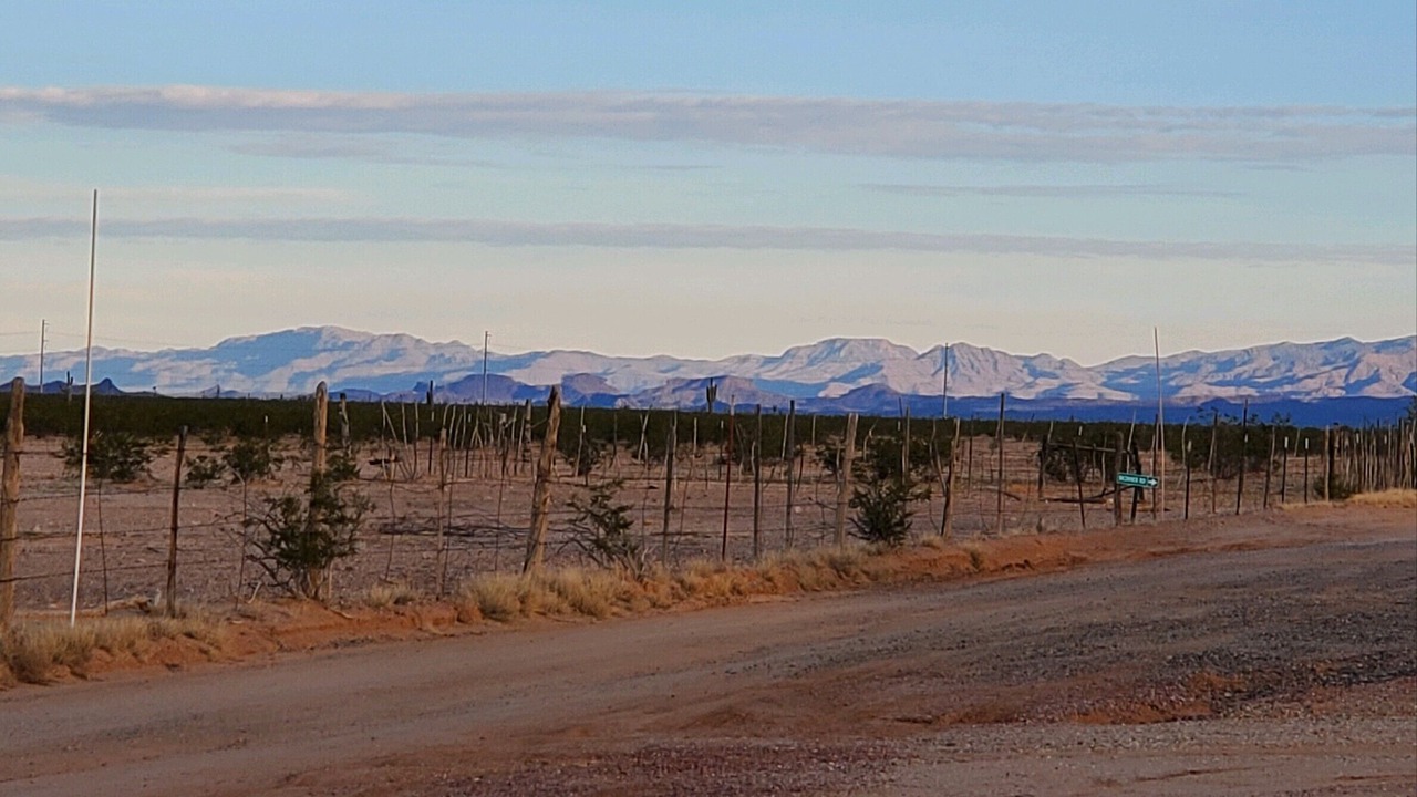 Photo of Outdoor in Wittmann