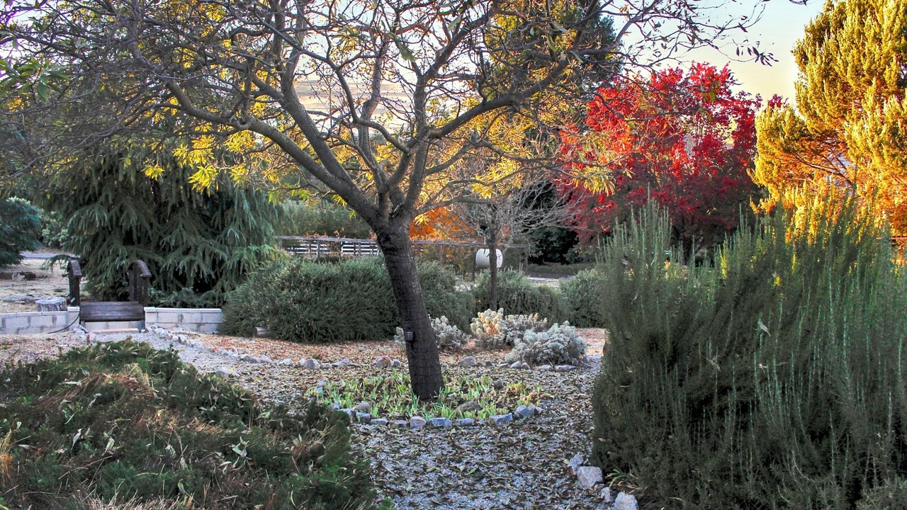 Photo of Others in Atascadero