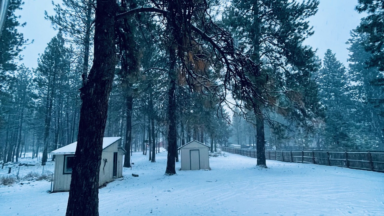 Photo of Others in Deschutes River Woods