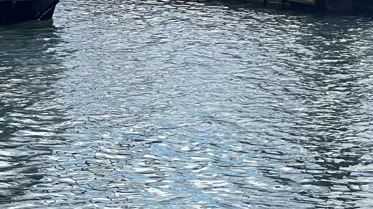 Photo of Others in Morro Bay