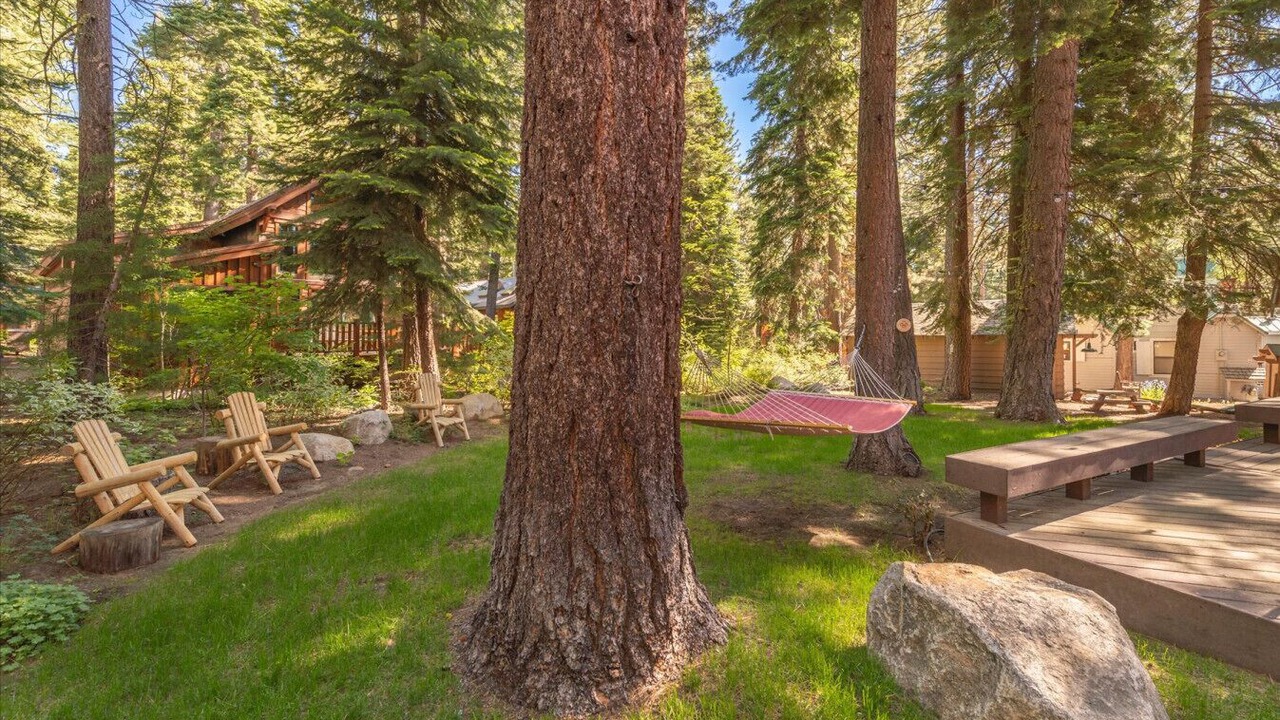 Photo of Outdoor in Sunnyside