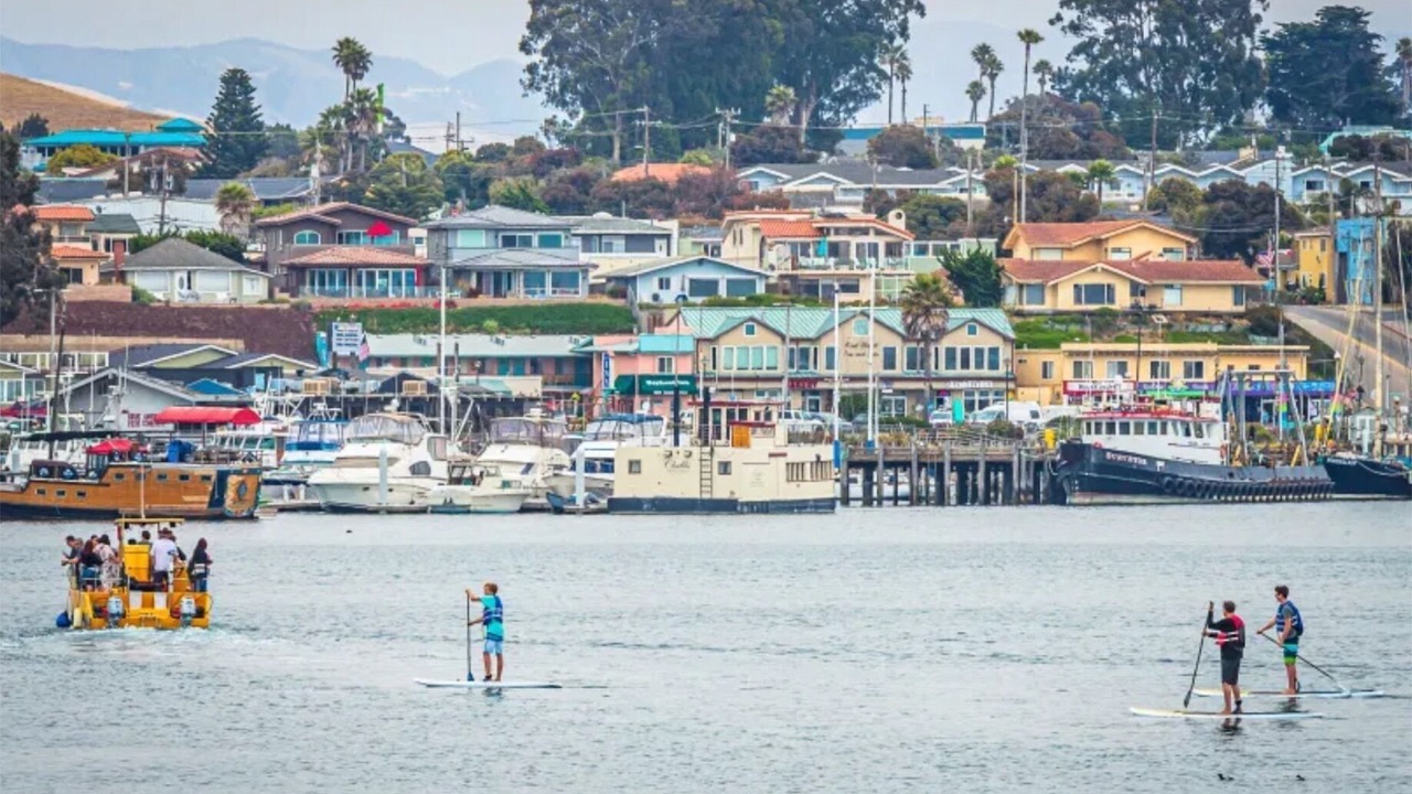 Photo of Others in Morro Bay