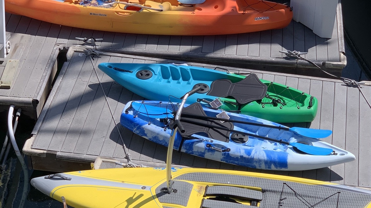 Photo of Others in West Newport