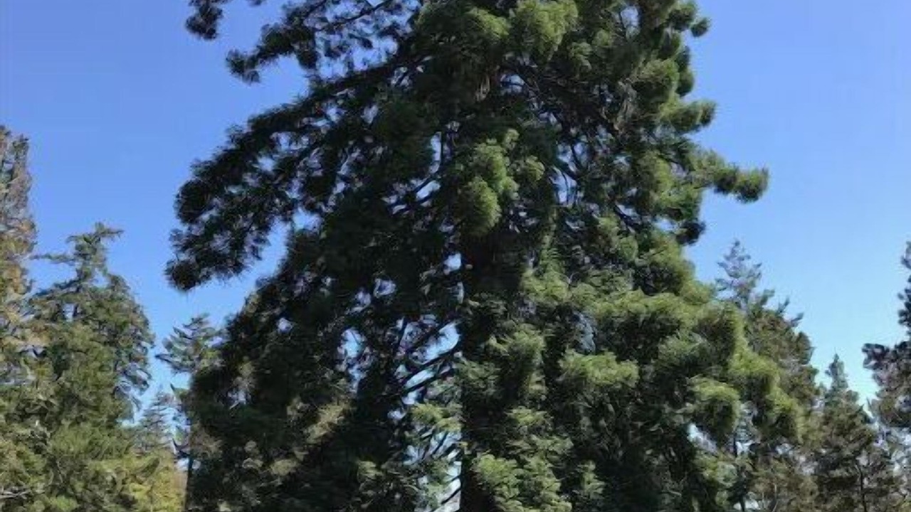 Photo of Others in Timber Cove