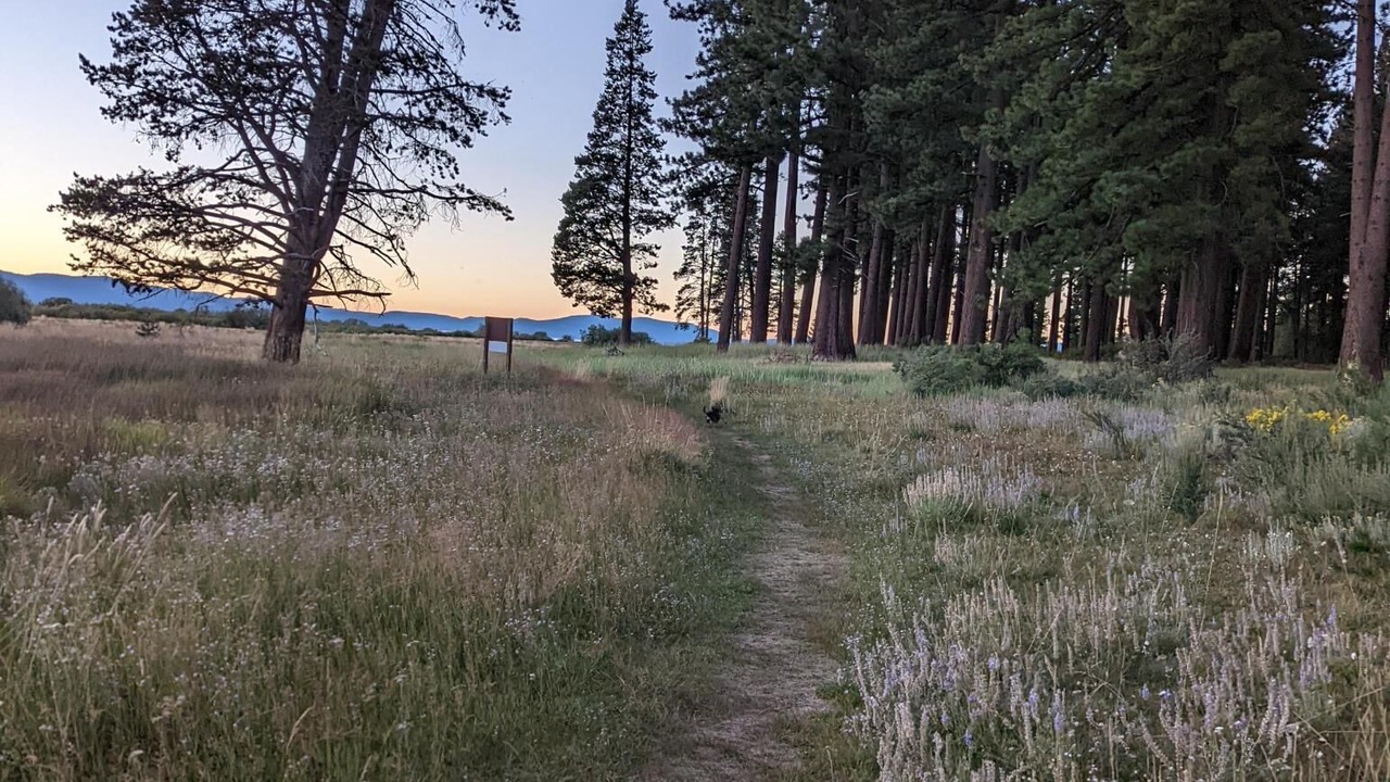 Photo of Outdoor in Al Tahoe