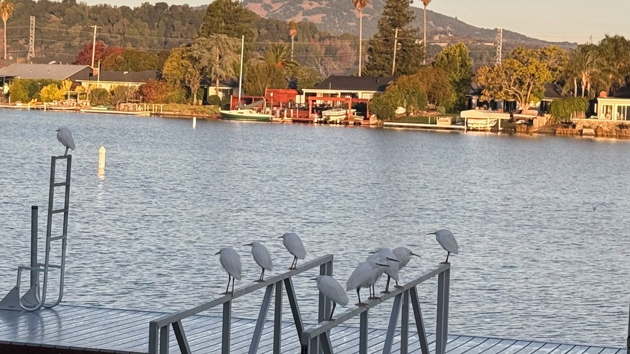 Photo of Others in Novato