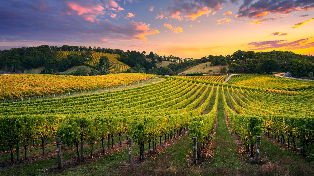 Photo of Outdoor in Paso Robles
