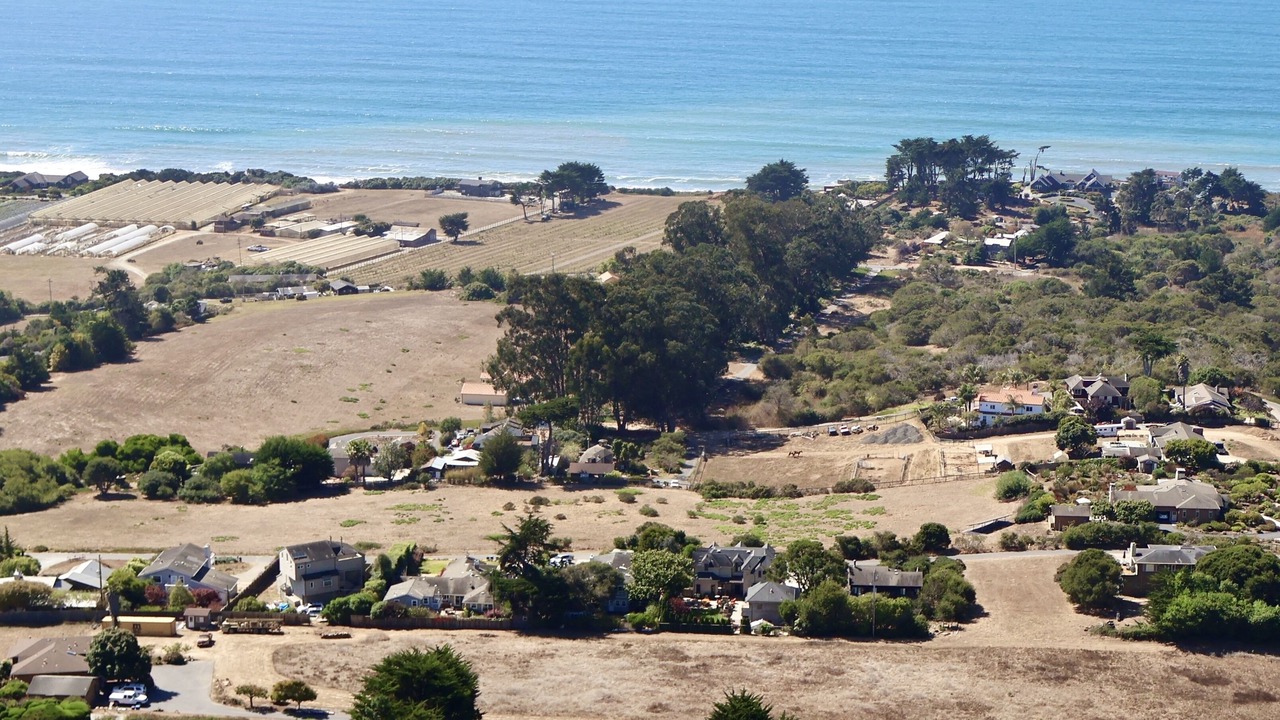 Photo of Others in La Selva Beach
