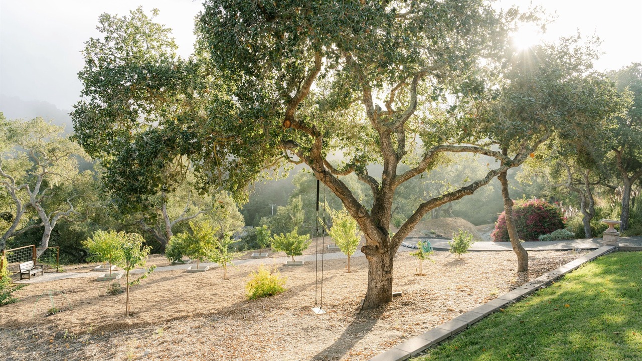 Photo of Outdoor in Arroyo Grande