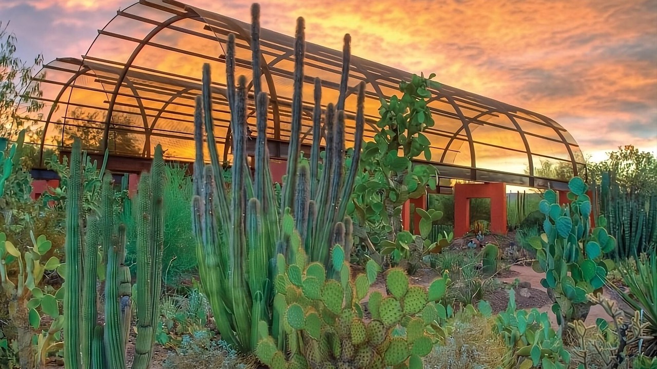 Photo of Others in Chandler