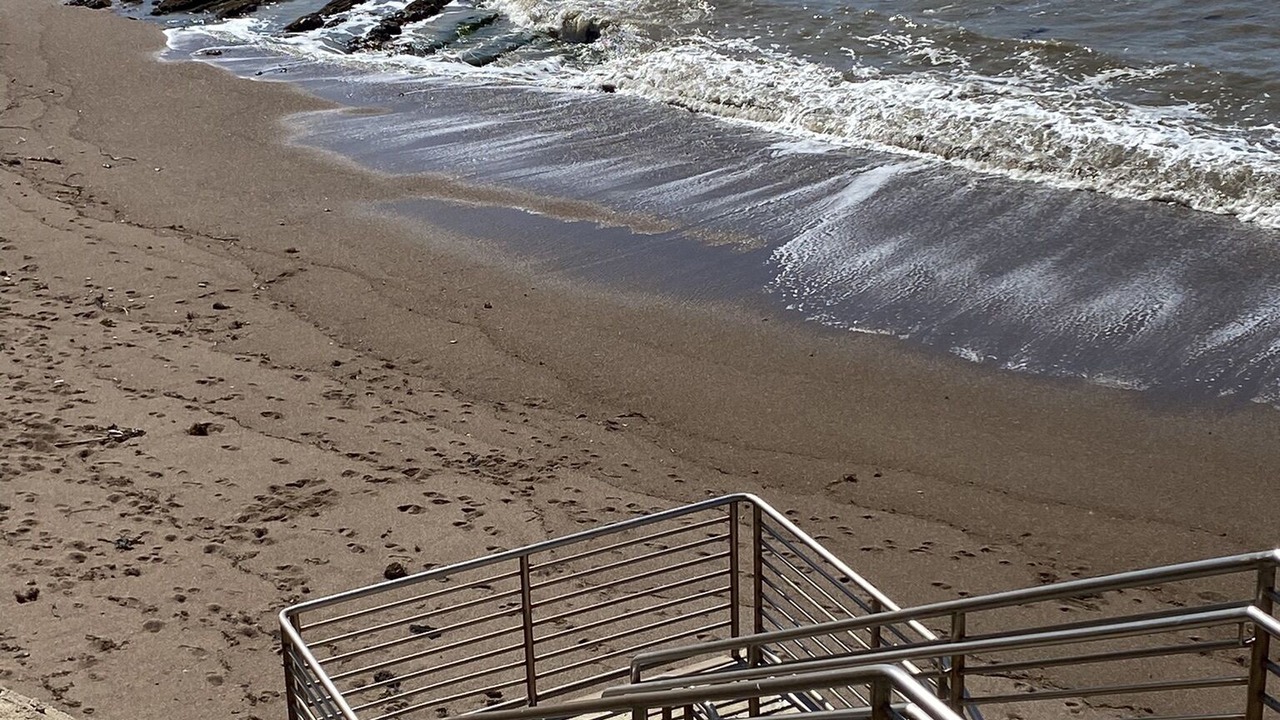 Photo of Others in Shell Beach