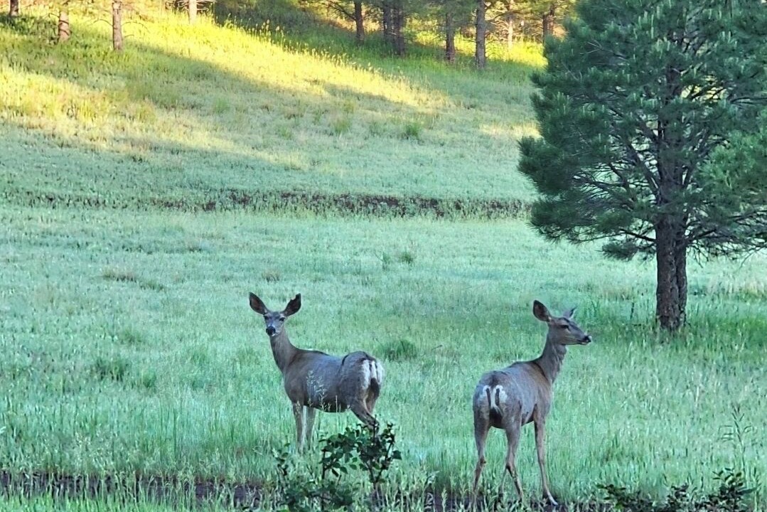 Photo of Others in Fort Valley