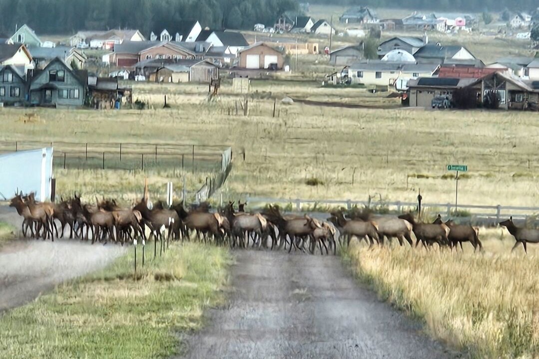 Photo of Others in Fort Valley