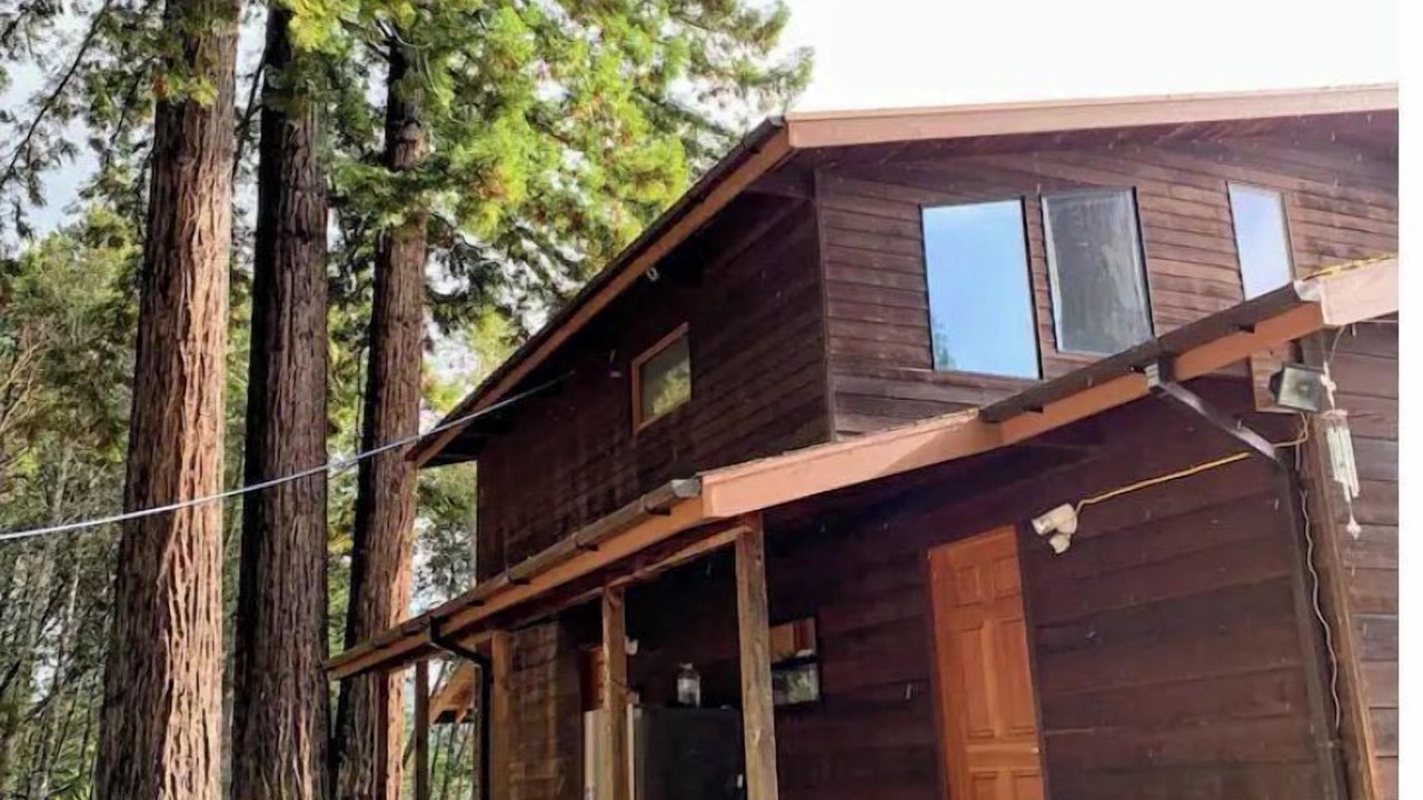 Photo of Outdoor in Myers Flat