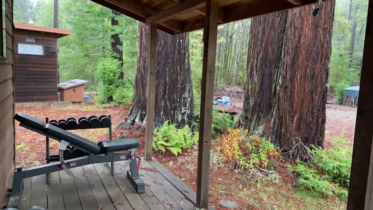 Photo of Patio Balcony in Myers Flat