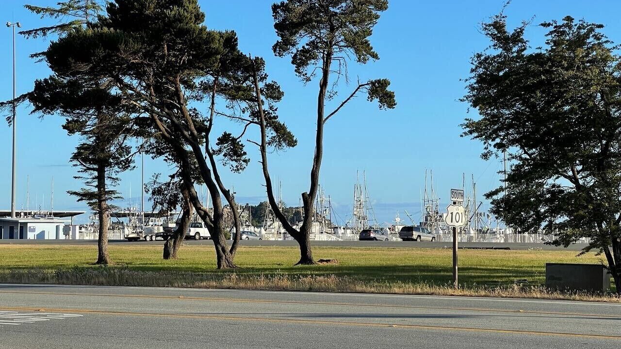 Photo of Others in Crescent City