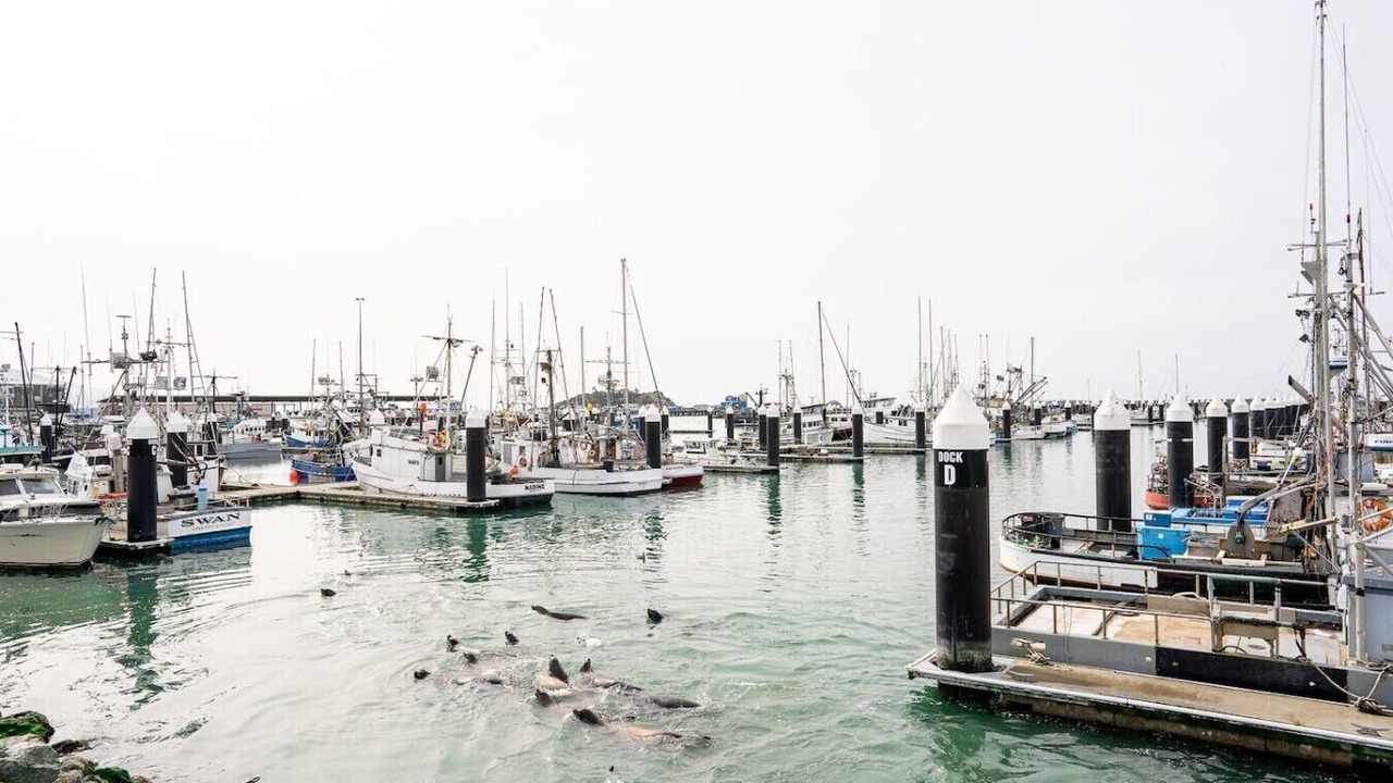 Photo of Others in Crescent City