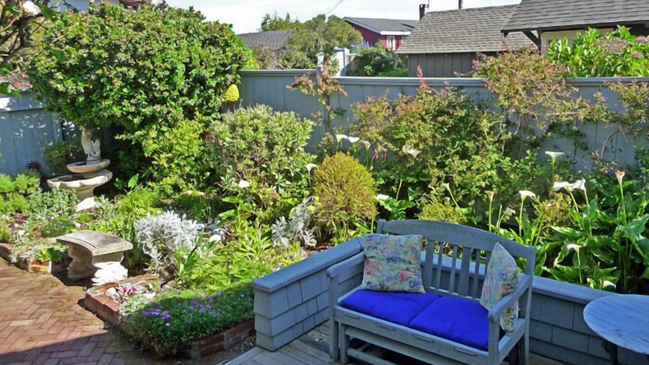 Photo of Outdoor in Bodega Bay