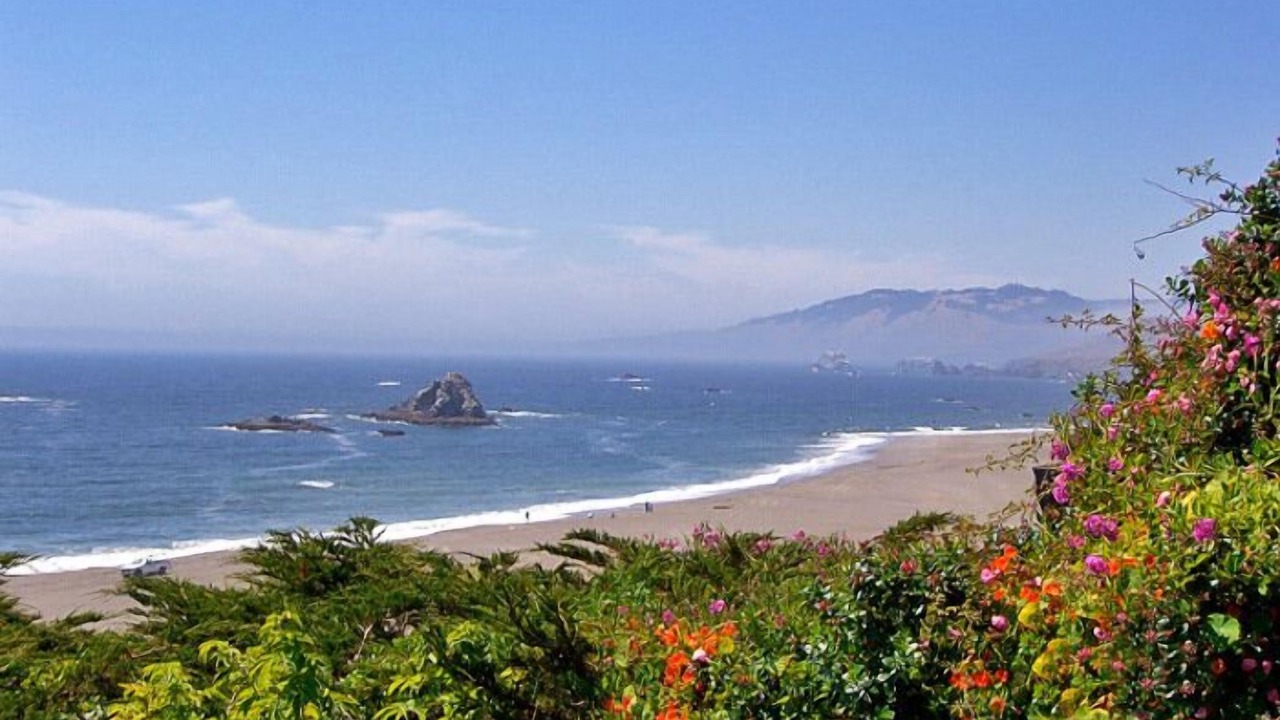Photo of Others in Bodega Bay